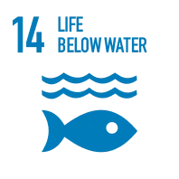 SDG 14