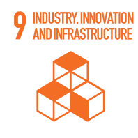 SDG 9